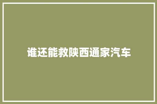 谁还能救陕西通家汽车