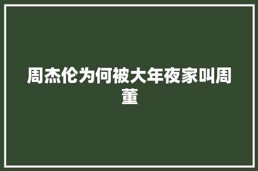 周杰伦为何被大年夜家叫周董