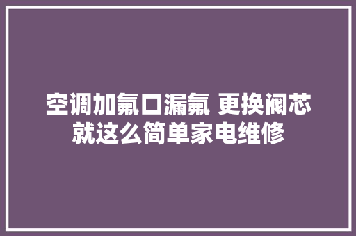 空调加氟口漏氟 更换阀芯就这么简单家电维修
