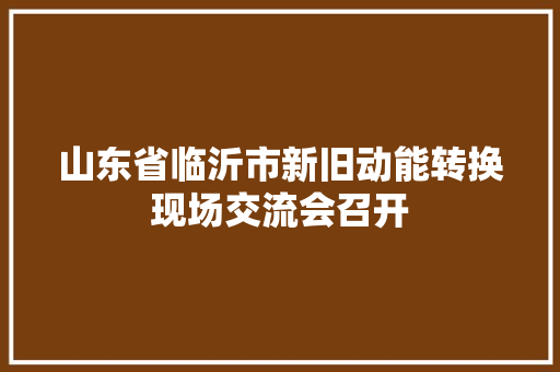 山东省临沂市新旧动能转换现场交流会召开
