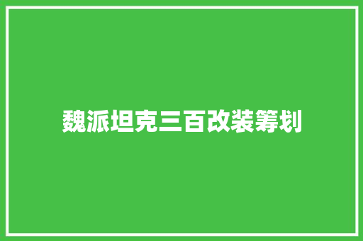 魏派坦克三百改装筹划