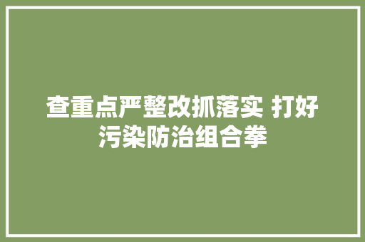 查重点严整改抓落实 打好污染防治组合拳