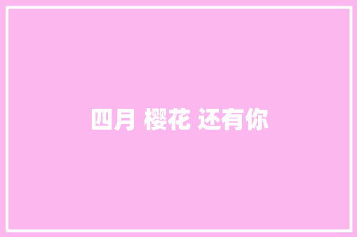 四月 樱花 还有你