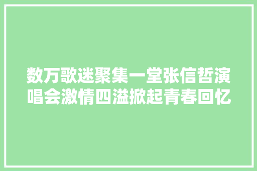 数万歌迷聚集一堂张信哲演唱会激情四溢掀起青春回忆潮