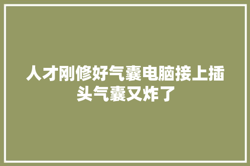 人才刚修好气囊电脑接上插头气囊又炸了