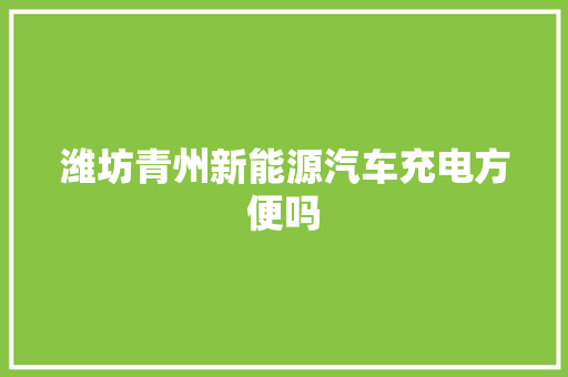 潍坊青州新能源汽车充电方便吗