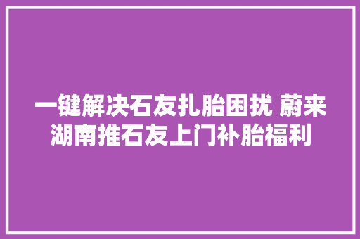 一键解决石友扎胎困扰 蔚来湖南推石友上门补胎福利 汽车知识
