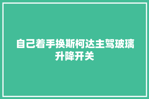 自己着手换斯柯达主驾玻璃升降开关