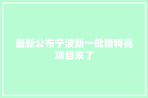 最新公布宁波新一批精特亮项目来了