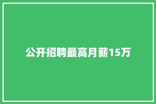 公开招聘最高月薪15万