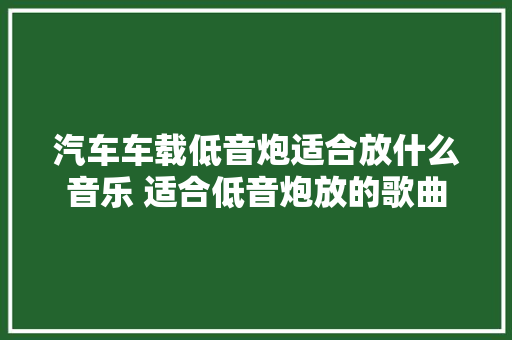 汽车车载低音炮适合放什么音乐 适合低音炮放的歌曲 休闲娱乐
