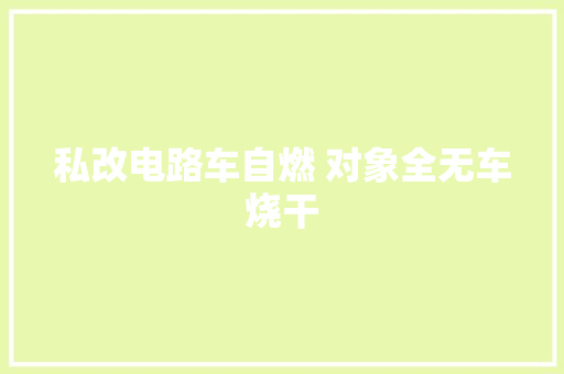 私改电路车自燃 对象全无车烧干