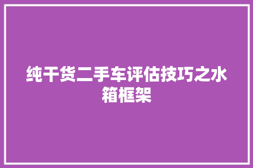 纯干货二手车评估技巧之水箱框架