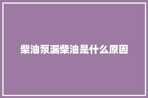 柴油泵漏柴油是什么原因