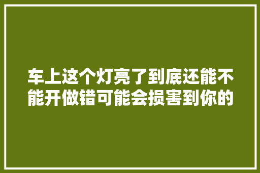 车上这个灯亮了到底还能不能开做错可能会损害到你的生命