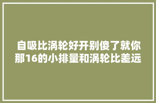 自吸比涡轮好开别傻了就你那16的小排量和涡轮比差远了