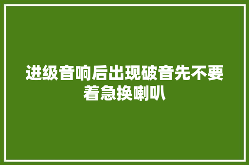 进级音响后出现破音先不要着急换喇叭
