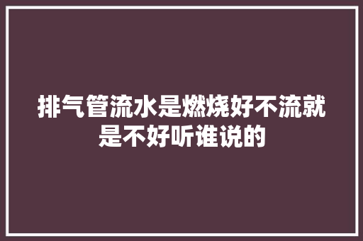 排气管流水是燃烧好不流就是不好听谁说的