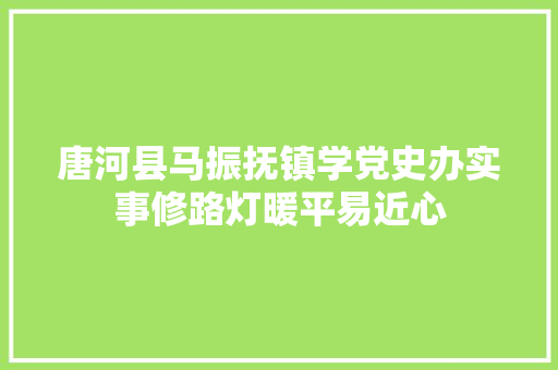 唐河县马振抚镇学党史办实事修路灯暖平易近心