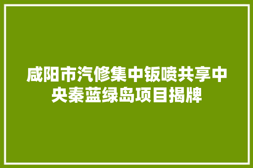 咸阳市汽修集中钣喷共享中央秦蓝绿岛项目揭牌