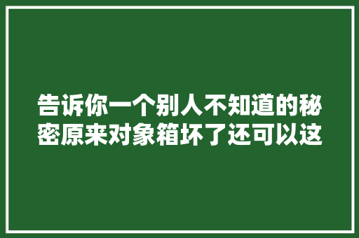 告诉你一个别人不知道的秘密原来对象箱坏了还可以这样修理 汽车知识