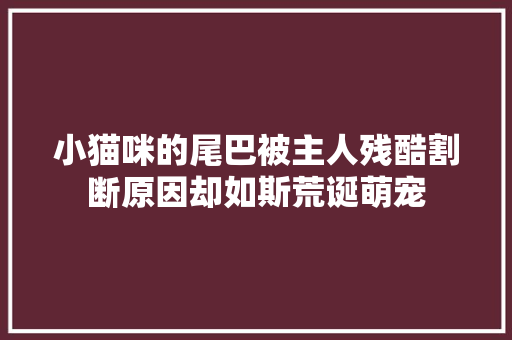 小猫咪的尾巴被主人残酷割断原因却如斯荒诞萌宠