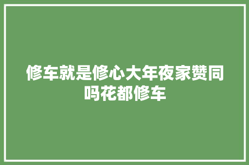 修车就是修心大年夜家赞同吗花都修车