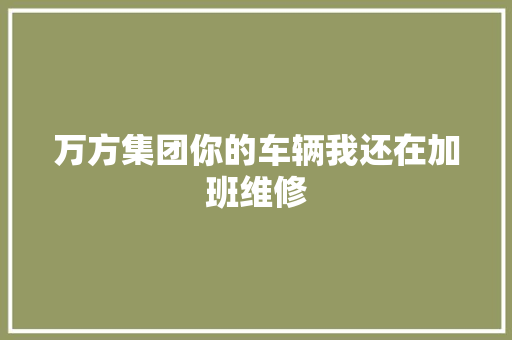 万方集团你的车辆我还在加班维修 汽车知识