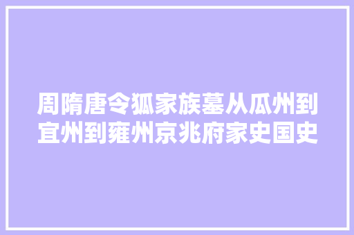 周隋唐令狐家族墓从瓜州到宜州到雍州京兆府家史国史贻鉴今古