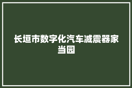 长垣市数字化汽车减震器家当园 汽车知识
