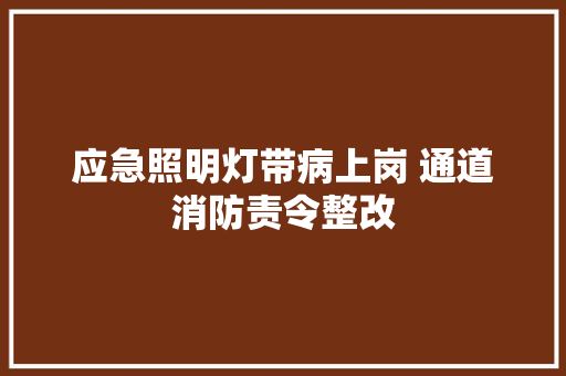 应急照明灯带病上岗 通道消防责令整改