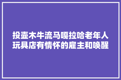 投壶木牛流马嘎拉哈老年人玩具店有情怀的雇主和唤醒童年的解忧杂货铺