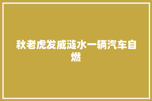 秋老虎发威涟水一辆汽车自燃