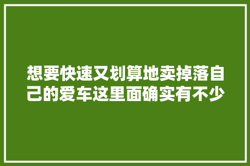 想要快速又划算地卖掉落自己的爱车这里面确实有不少窍门和