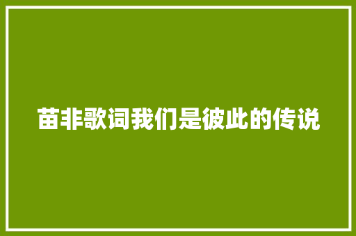 苗非歌词我们是彼此的传说 休闲娱乐