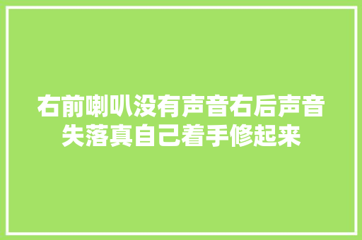 右前喇叭没有声音右后声音失落真自己着手修起来