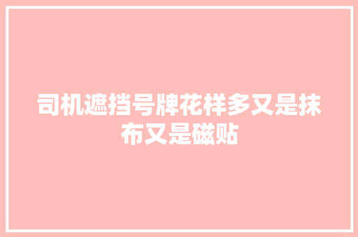 司机遮挡号牌花样多又是抹布又是磁贴