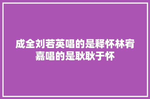成全刘若英唱的是释怀林宥嘉唱的是耿耿于怀