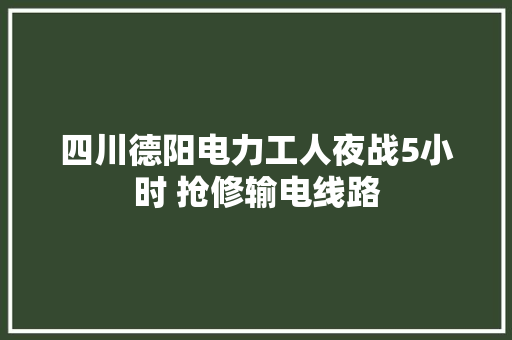 四川德阳电力工人夜战5小时 抢修输电线路