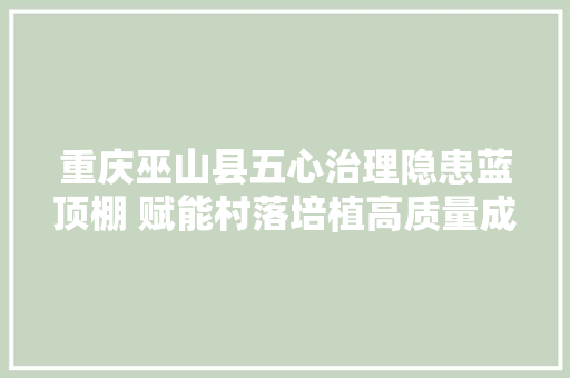 重庆巫山县五心治理隐患蓝顶棚 赋能村落培植高质量成长