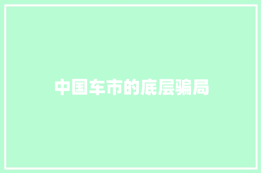 中国车市的底层骗局