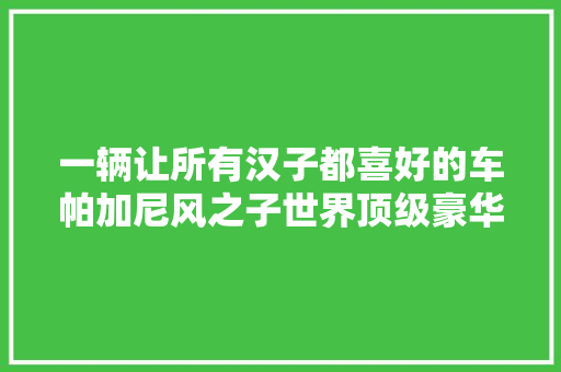 一辆让所有汉子都喜好的车帕加尼风之子世界顶级豪华超跑