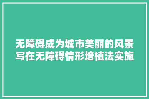 无障碍成为城市美丽的风景写在无障碍情形培植法实施一周年之际