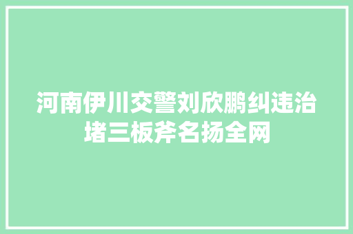 河南伊川交警刘欣鹏纠违治堵三板斧名扬全网