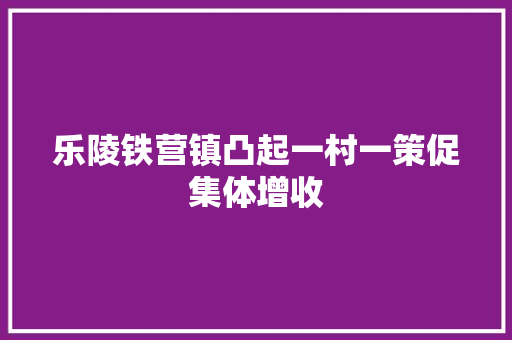 乐陵铁营镇凸起一村一策促集体增收