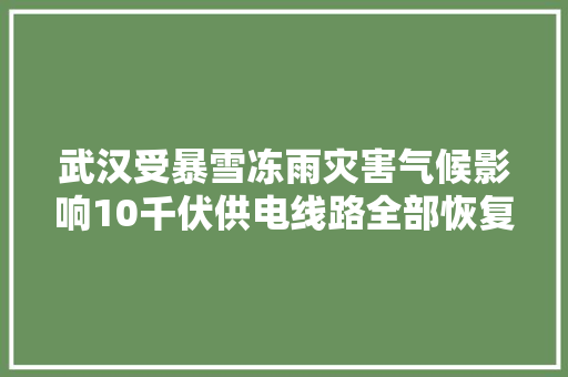 武汉受暴雪冻雨灾害气候影响10千伏供电线路全部恢复