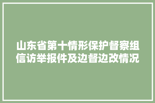 山东省第十情形保护督察组信访举报件及边督边改情况一览表第一批