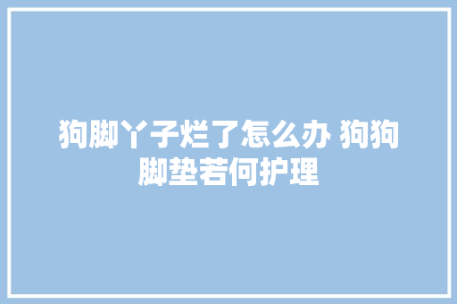狗脚丫子烂了怎么办 狗狗脚垫若何护理