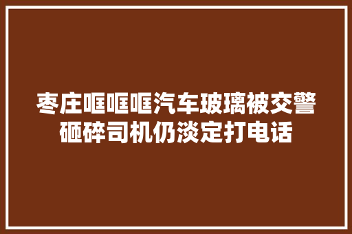 枣庄哐哐哐汽车玻璃被交警砸碎司机仍淡定打电话