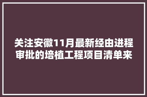关注安徽11月最新经由进程审批的培植工程项目清单来了共48个
